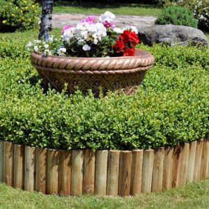 Bordi Aiuole Roll H 30 Lung. 200 cm