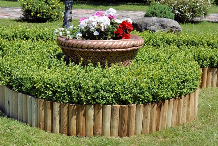 Bordi Aiuole Roll H 30 Lung. 200 cm
