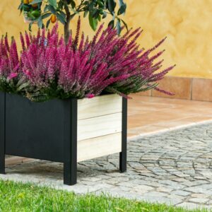 Fioriera Lavanda 36x36x32 cm