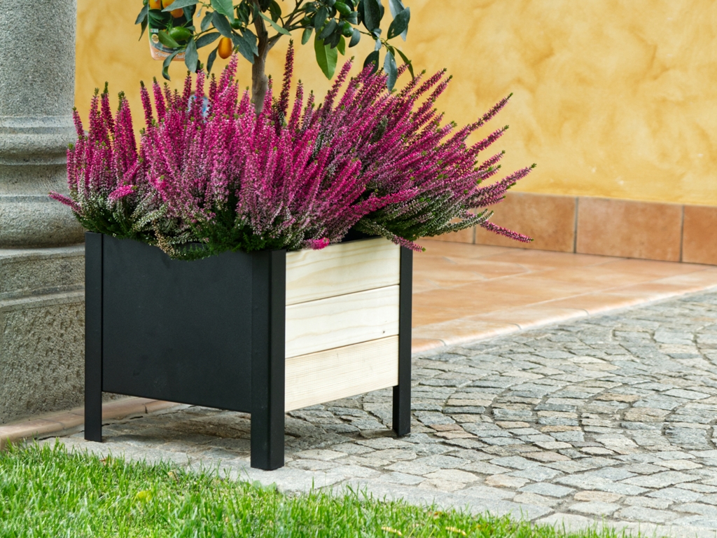 fioriera-lavanda-1