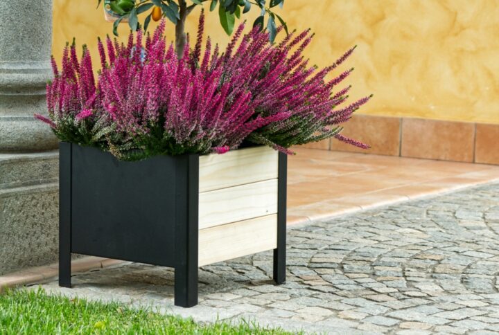 Fioriera Lavanda 118x36x32 cm