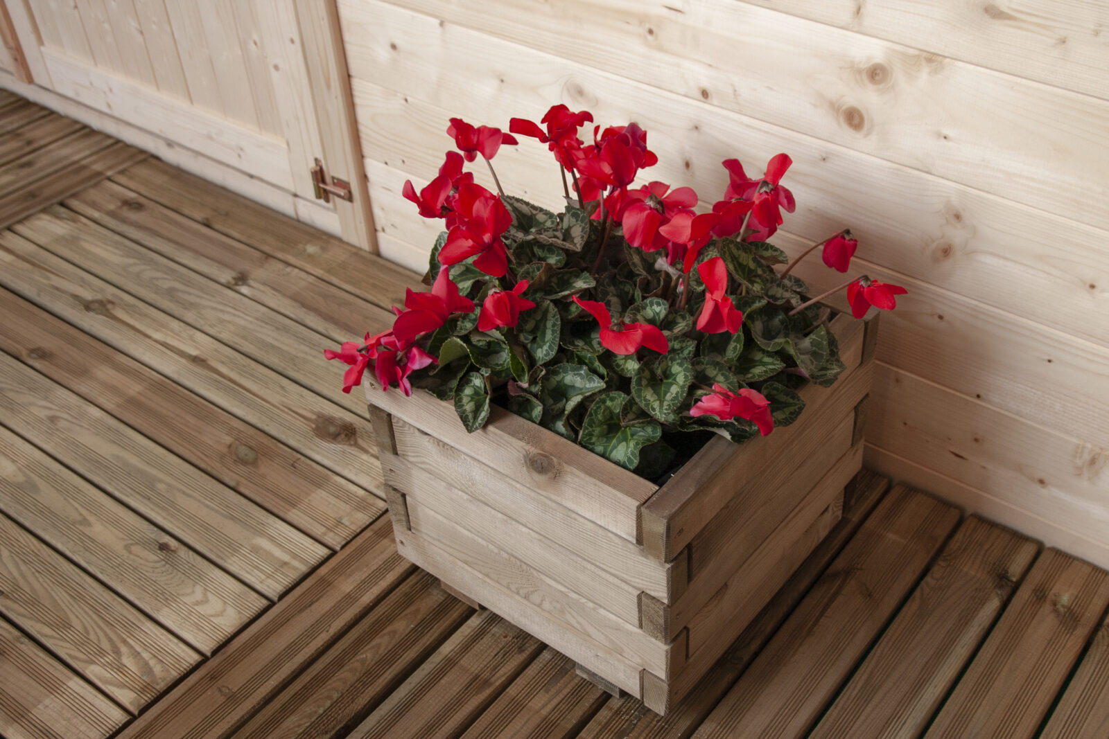 fioriere-tulipano-3